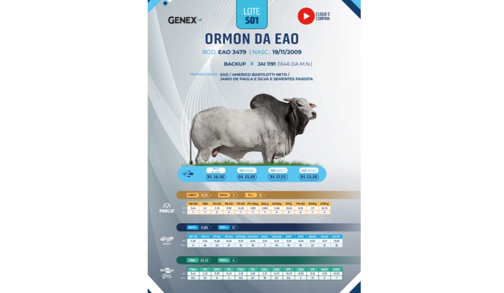 Exemplo de catálogo 12º Megaleilão EAO Baviera - Etapa Sêmen