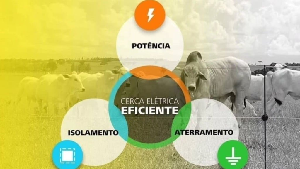 Infográfio sobre os pilares da cerca elétrica. Foto: Acervo/Ernesto Coser