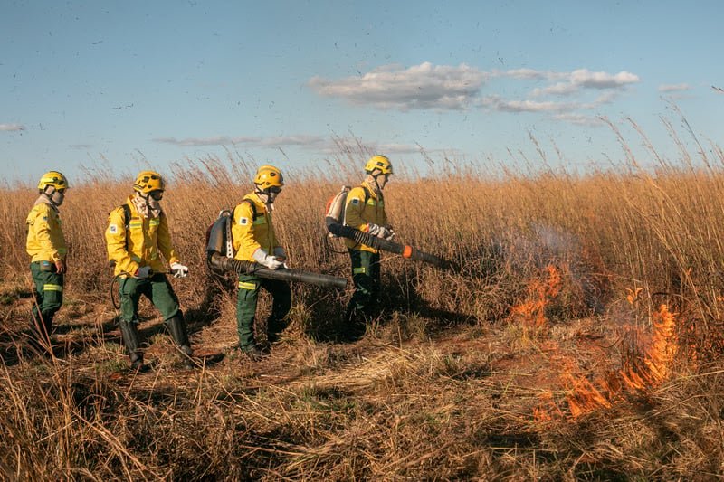formação de brigadistas indígenas Ibama