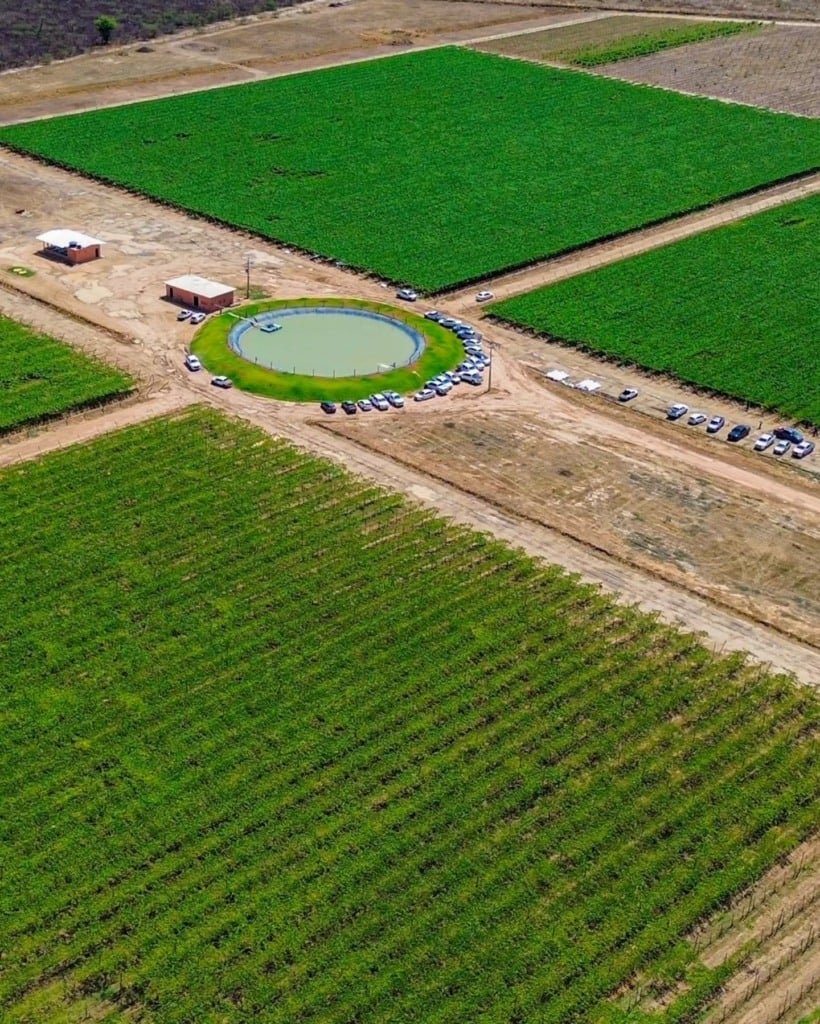 Seminário Fruticultura irrigada, Barra Agroshow, feira, eventp