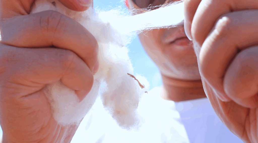 Missão Compradores, executivos, abrapa, internacional,