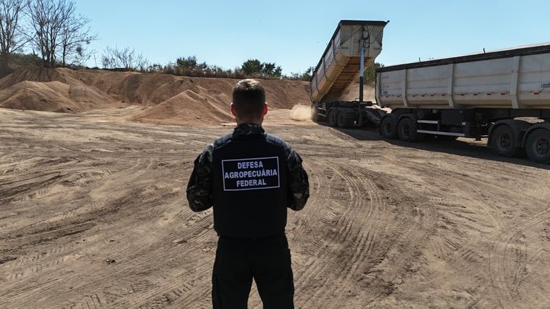 soja contaminada transformada em adubo