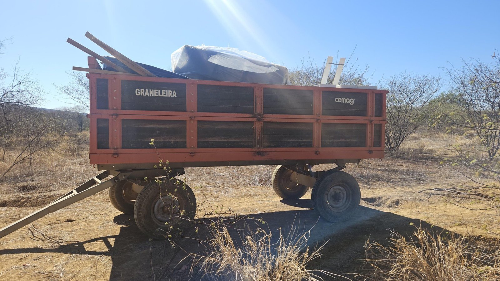 polícia civil desarticula fazenda com plantação de maconha de 4 hectares na Bahia