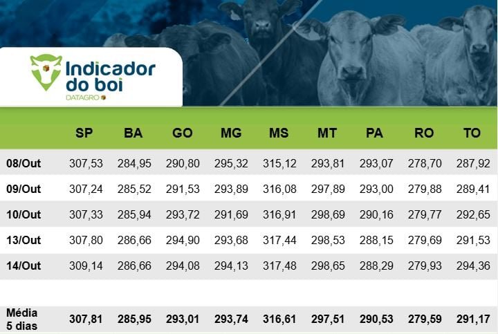 Indicador do Boi Gordo Datagro