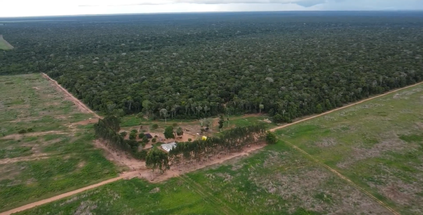 indigenas; homologação de terras