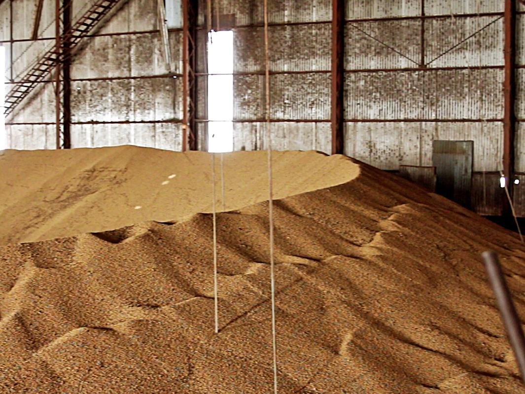 soja em silo