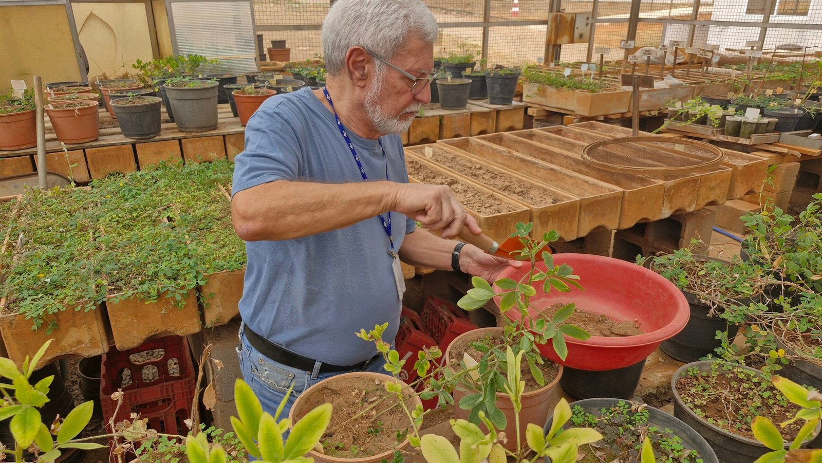 José Valls, pesquisador da Embrapa