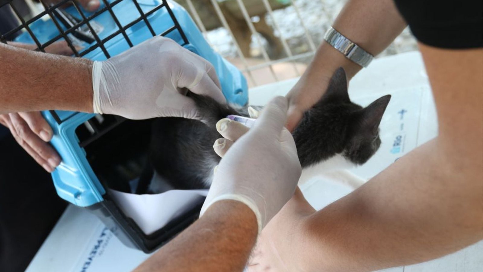 Foto: Tania Rêgo/Agência Brasil.