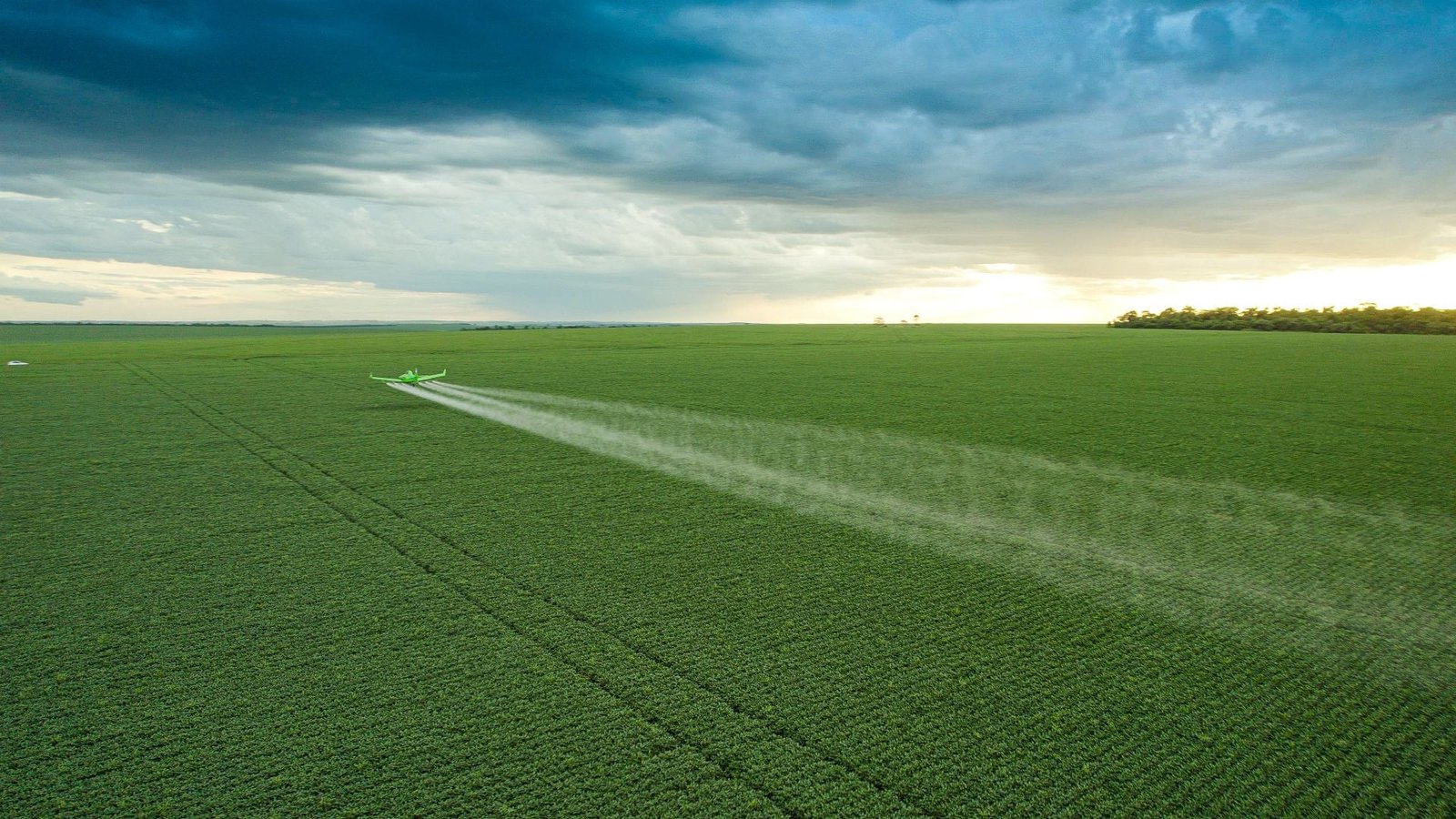 Plantação de milho em Luís Eduardo Magalhães, no Oeste da Bahia (Foto: Divulgação/Inpasa Brasil).
