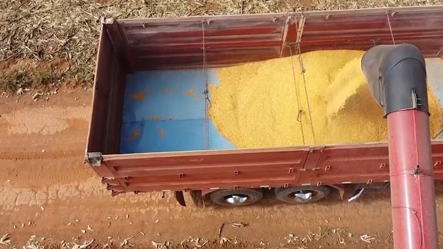 Colheita Soja Foto Pedro Silvestre Canal Rural Mato Grosso1