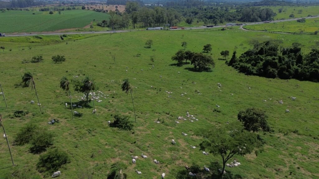 Fazenda Pindamonhangaba - área de pesquisa vendida é investigada pelo MP-SP