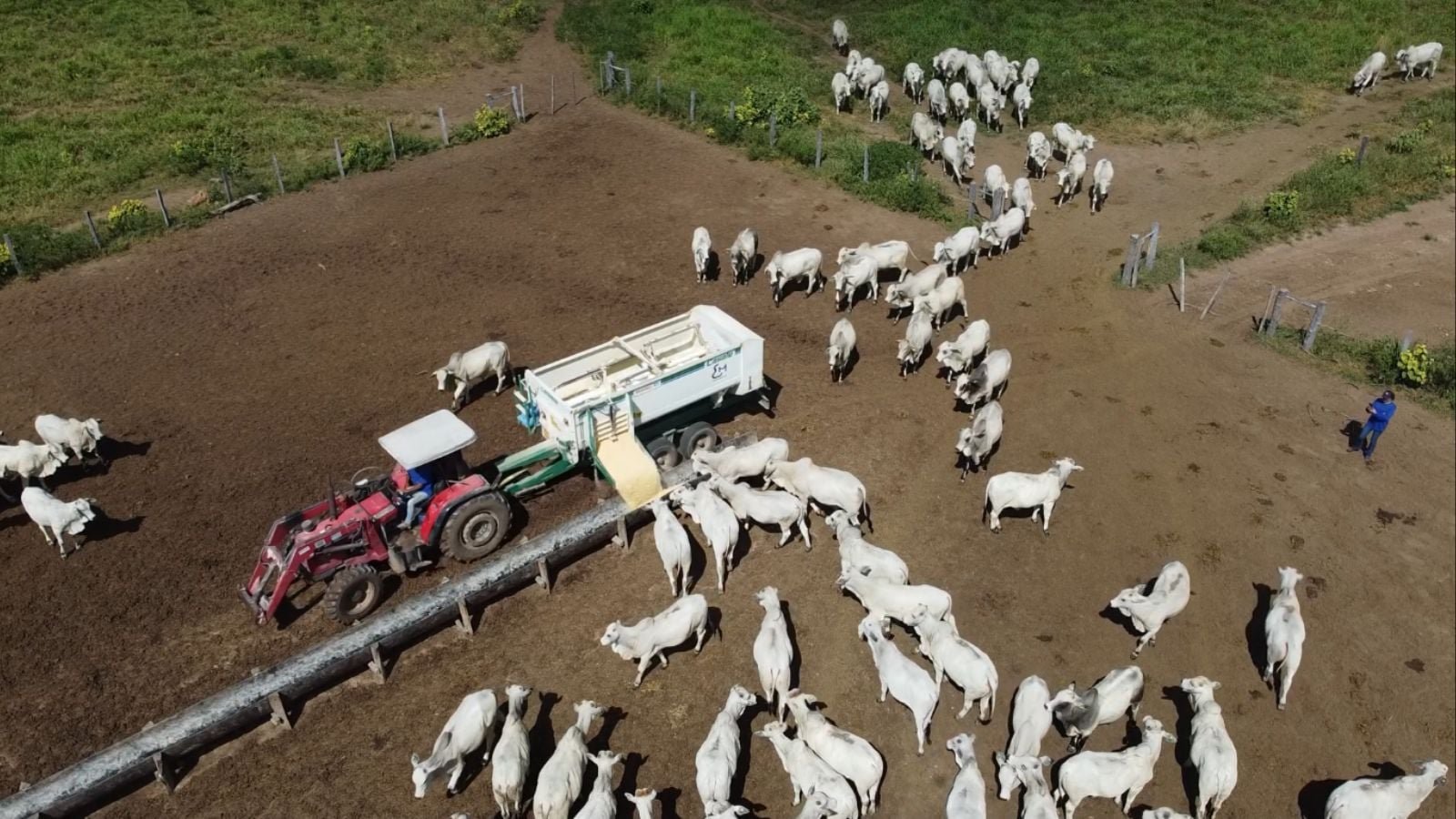 Foto: Reprodução/Giro do Boi.