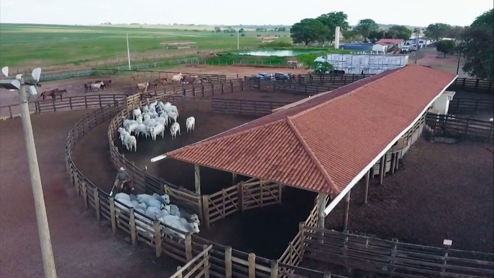 Foto: Reprodução/Giro do Boi.