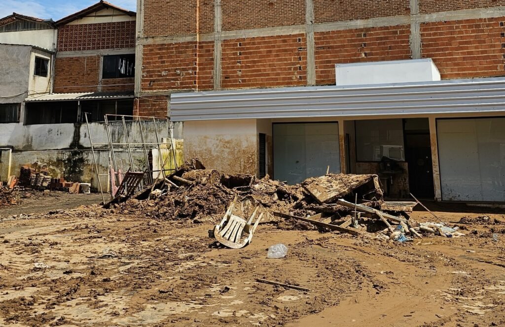 Temporais provocam perdas em propriedades rurais da zona da mata mineira