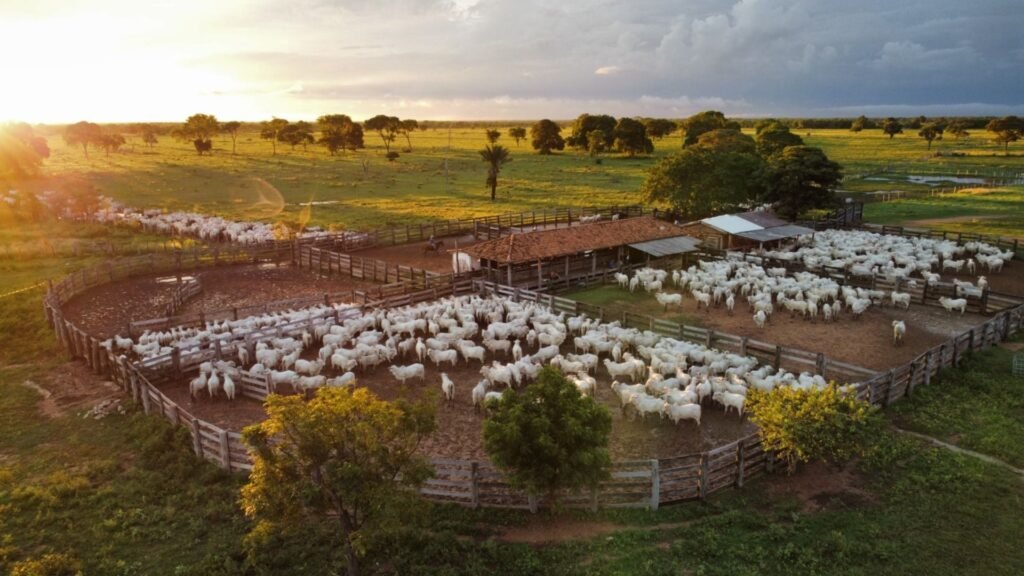Fazenda Olhos D'Água. Foto: Divulgação.