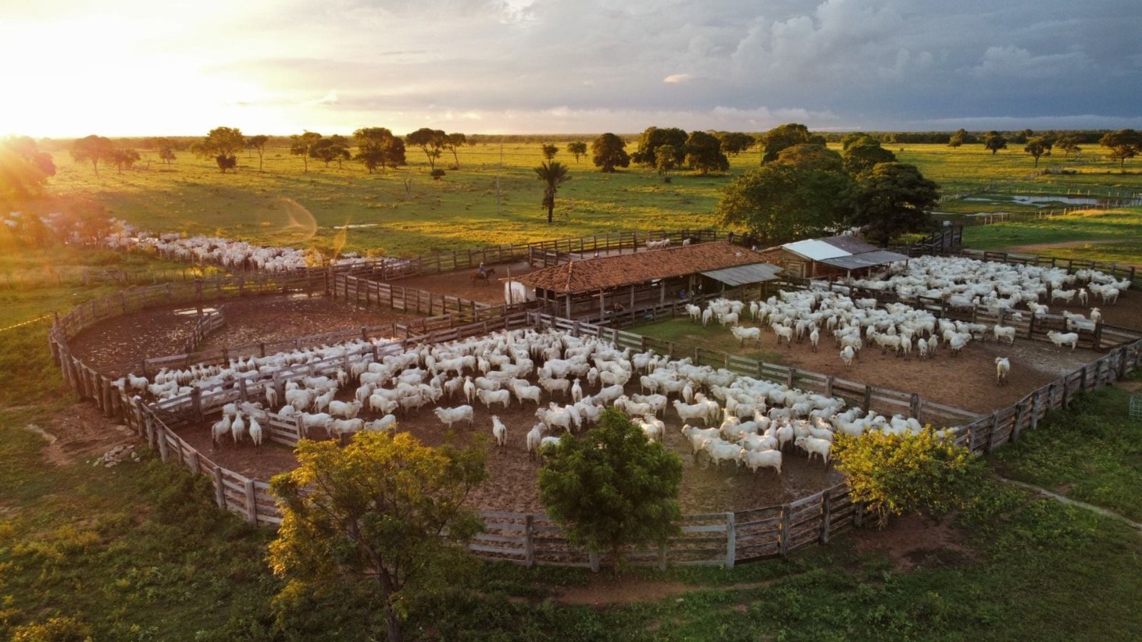 Fazenda Olhos D'Água. Foto: Divulgação.